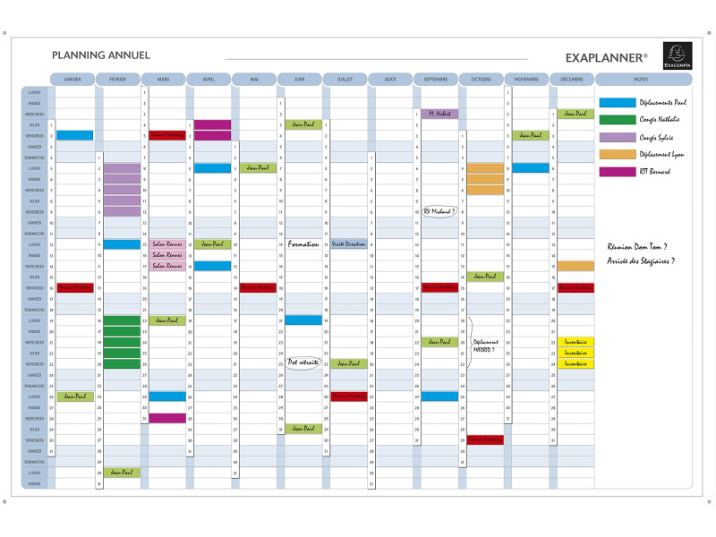 EXACOMPTA Planning annuel Exaplanner, (L)900 x (H)590 mm