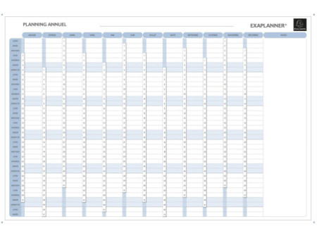 EXACOMPTA Planning annuel Exaplanner, (L)900 x (H)590 mm