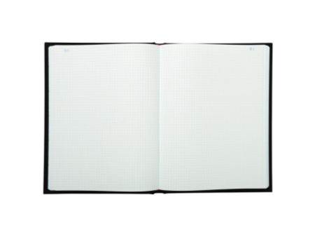 EXACOMPTA Registre Quadrillé 5x5, A4, 300 pages