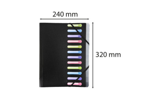 EXACOMPTA Trieur, A4, PP, 12 compartiments, noir