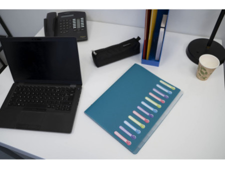 EXACOMPTA Trieur, A4, PP, 12 compartiments, noir