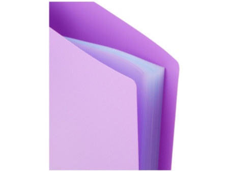 EXACOMPTA Protège-documents, A4, PP, 50 pochettes, assorti