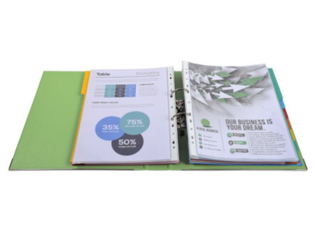 EXACOMPTA Classeur à levier PP Premium, A4, 50 mm, vert anis