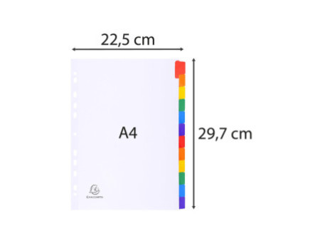 EXACOMPTA Intercalaires en carton, A4, 12 touches