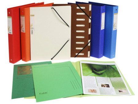 EXACOMPTA Chemises coin FOREVER, A4, carton, assorti