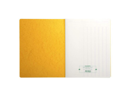 EXACOMPTA Piqûre comptable 'Ventes', 320 x 250 mm, 80 pages