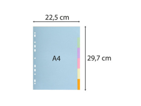 EXACOMPTA Intercalaires en carton, A4, 6 touches
