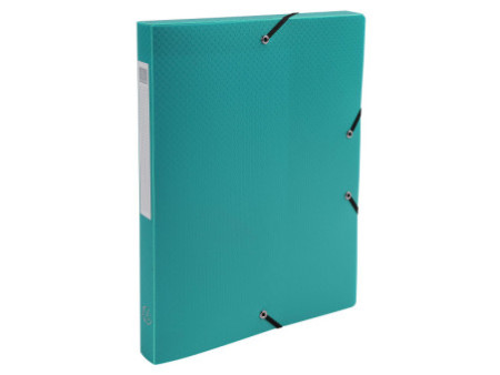 EXACOMPTA Boîte de classement Opaque, PP, 25 mm, vert