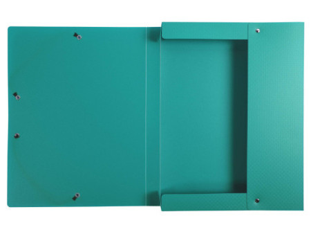 EXACOMPTA Boîte de classement Opaque, PP, 25 mm, vert