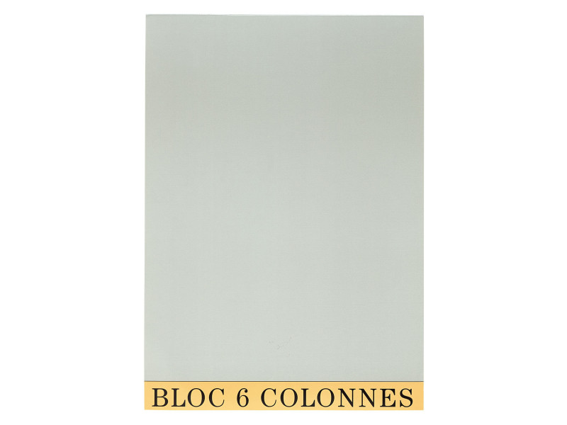 EXACOMPTA Bloc de contrôle comptable, 297 x 210 mm
