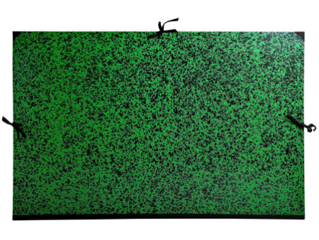 EXACOMPTA Carton à dessin Annonay, 750 x 1.050 mm, vert