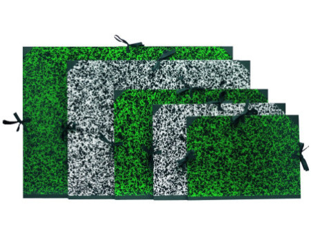 EXACOMPTA Carton à dessin, 320 x 450 mm, carton,vert / blanc
