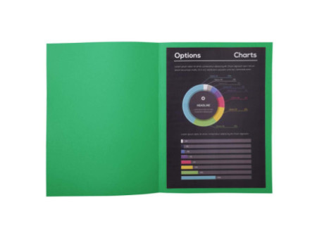 EXACOMPTA Chemises ROCK'S, A4, vert sapin