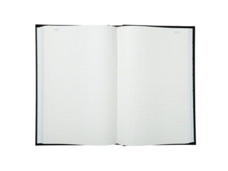 EXACOMPTA Registre Quadrillé 5x5, 360 x 225 mm vertical