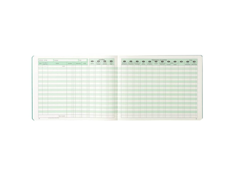 EXACOMPTA Piqûre 'SCI COMPTA', 240 x 320 mm, 80 pages