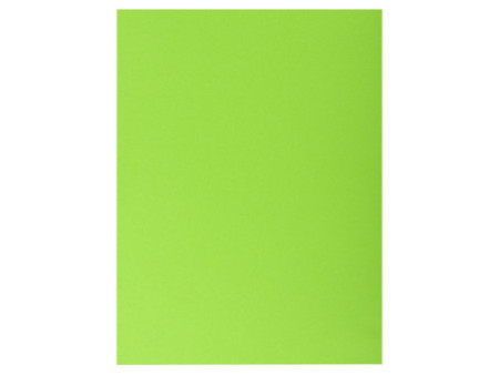 EXACOMPTA Chemises double poche ROCK'S, A4, vert