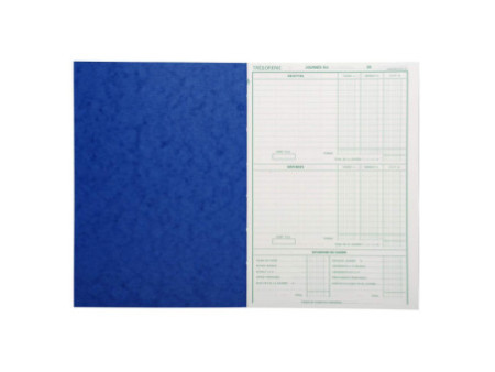 EXACOMPTA Piqûre 'Brouillard Journalier', 270 x 195 mm