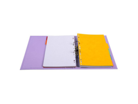 EXACOMPTA Classeur à levier PVC Premium, A4, 50 mm, lilas
