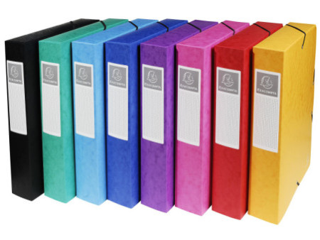 EXACOMPTA Boîte de classement, A4, dos 60 mm, assorti