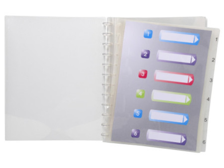 EXACOMPTA Protège-documents, A4, 10 pochettes, transparent