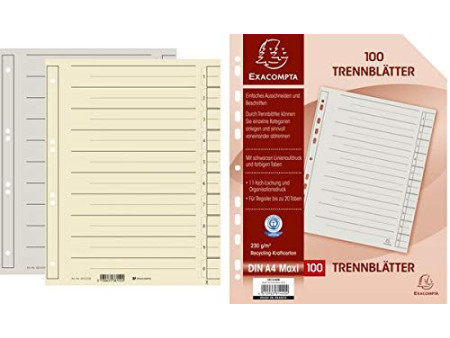 EXACOMPTA Intercalaires, A4 extra large, chamois