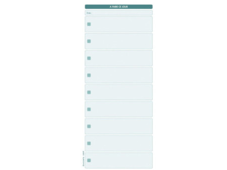 EXACOMPTA Bloc 'A faire ce jour', 297 x 140 mm