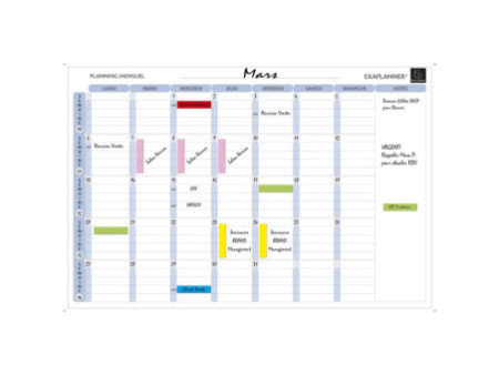 EXACOMPTA Planning magnétique mensuel Exaplanner