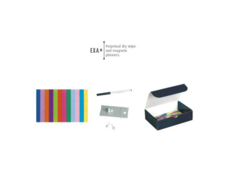 EXACOMPTA Planning magnétique mensuel Exaplanner