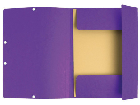 EXACOMPTA Chemise à élastiques, A4, carton, violet