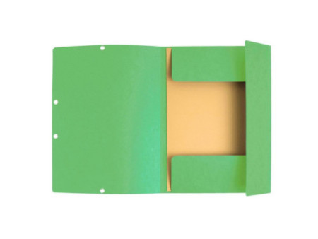 EXACOMPTA Chemise à élastiques, A4, carton, vert tilleul