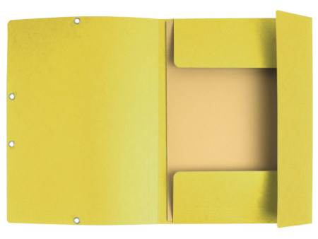 EXACOMPTA Chemise à élastiques, A4, carton, citron