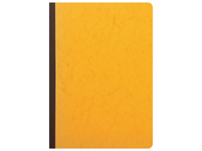 EXACOMPTA Piqûre tête paresseuse, 10 colonnes sur 2 pages