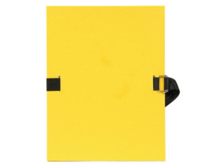 EXACOMPTA Chemise à dos extensible, A4, carton, assorti
