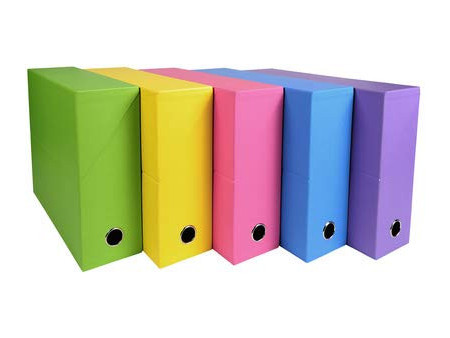 EXACOMPTA Boîte transfert SALSA, 90 mm, assorti