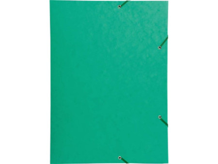 EXACOMPTA Chemise à élastique, A3, carton, vert