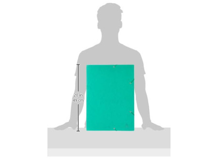EXACOMPTA Chemise à élastique, A3, carton, vert