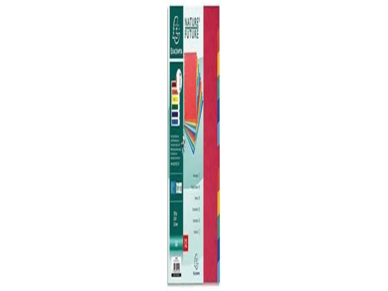 EXACOMPTA Intercalaires en carton, A4, 12 touches