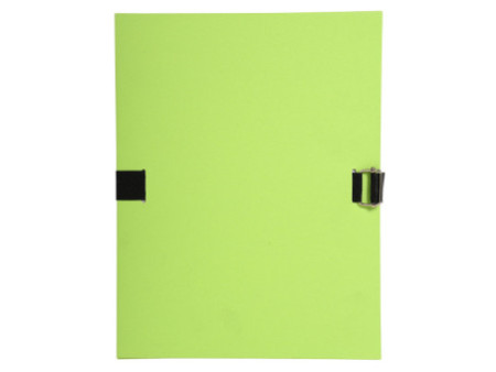 EXACOMPTA Porte-documents Forever, A4, vert clair