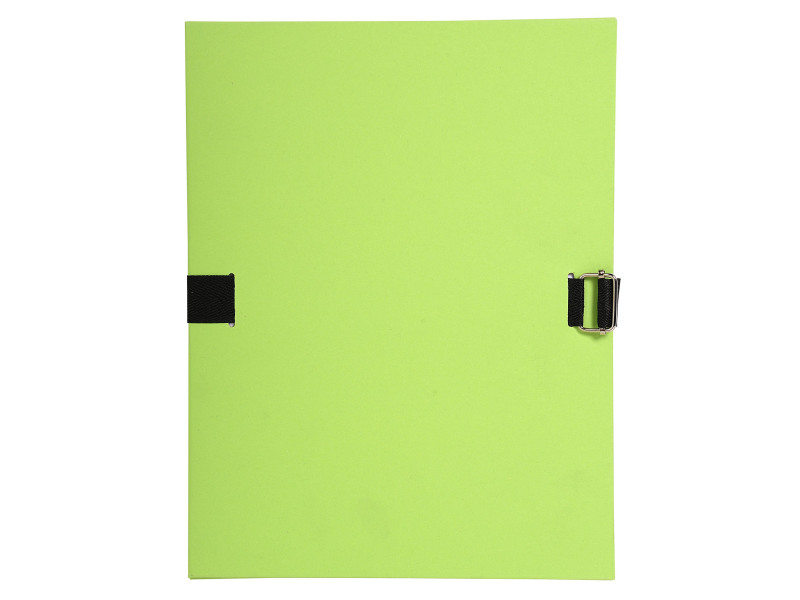 EXACOMPTA Porte-documents Forever, A4, vert clair