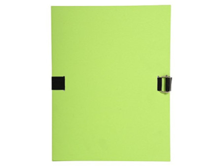 EXACOMPTA Porte-documents Forever, A4, vert clair