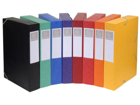 EXACOMPTA Boîte de classement Cartobox, A4, 60 mm, assorti