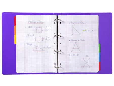 EXACOMPTA Intercalaires en carton, A4, blanc, 6 touches