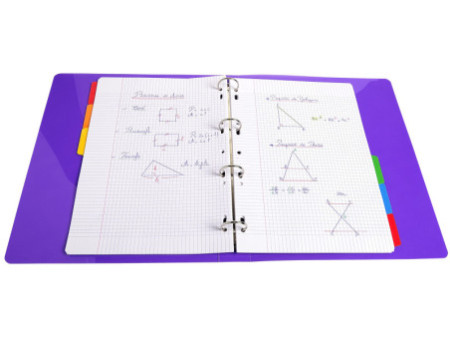 EXACOMPTA Intercalaires en carton, A4, blanc, 6 touches