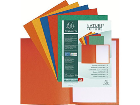 EXACOMPTA Chemise, A4, assorti
