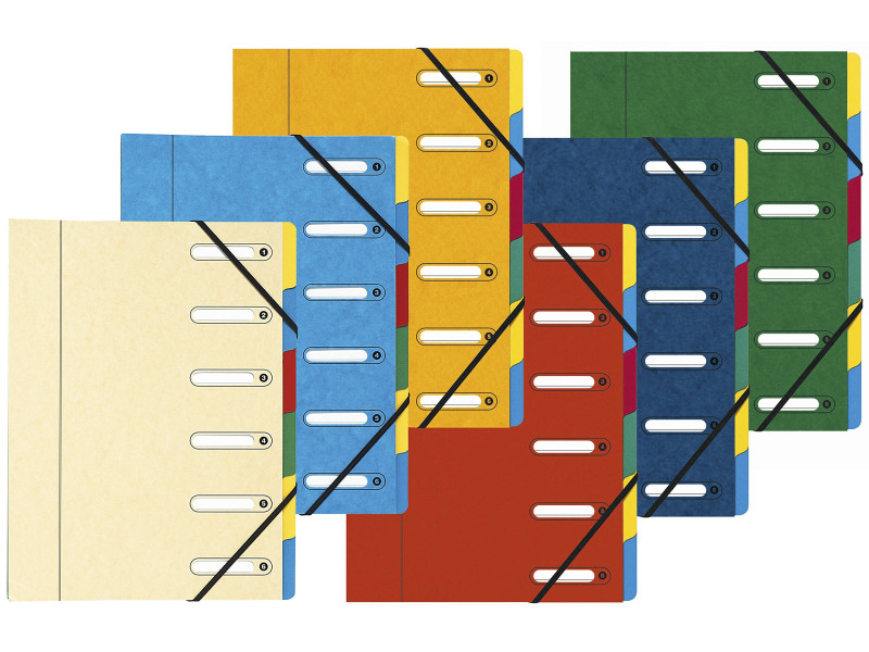 EXACOMPTA Trieur Harmonika, carton, 6 compartiments, assorti
