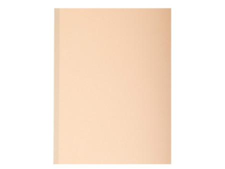 EXACOMPTA Chemise à soufflet, en carton, 320 g/m2, assorti