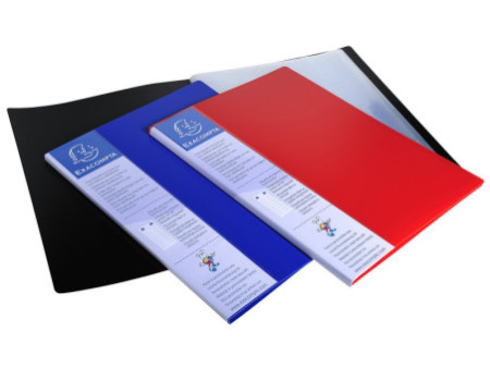EXACOMPTA Protège-documents, A4, PP, 60 pochettes, noir