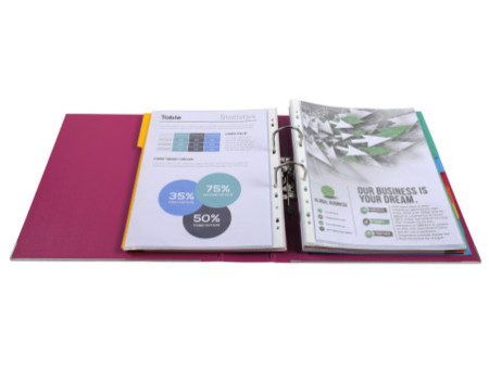EXACOMPTA Classeur à levier Premium, A4, 80 mm, fuchsia