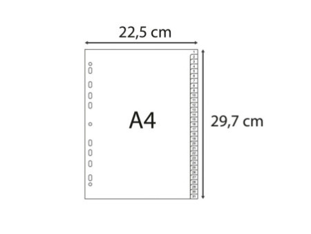EXACOMPTA Intercalaire numérique en plastique, A4, gris