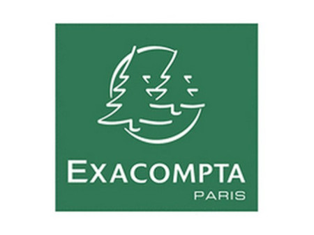 EXACOMPTA Boîtes archive, (L)100 mm, bleu